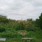 東仲宗根売地２